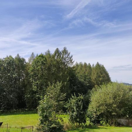 Pension Bachlhof Fursteneck Exterior foto