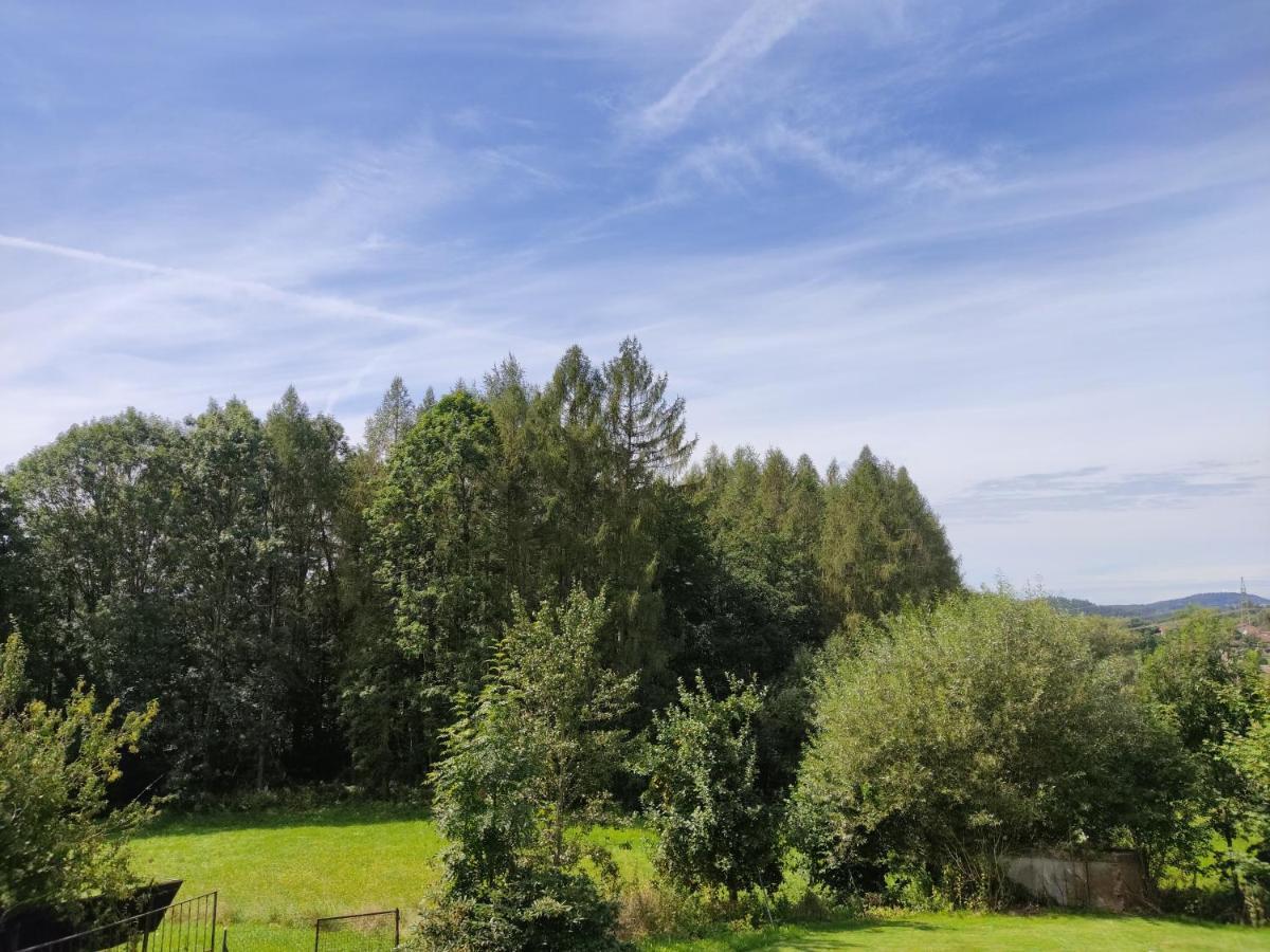 Pension Bachlhof Fursteneck Exterior foto